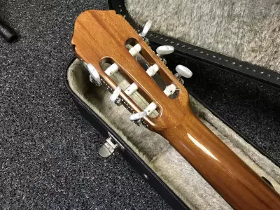 ویژگی و مشخصات گیتار ریموندو 123